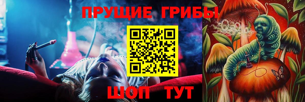Нальчик  Псилоцибиновые грибы Cubensis  Псилоцибиновые грибы Psilocybine cubensis  Вход с VPN 